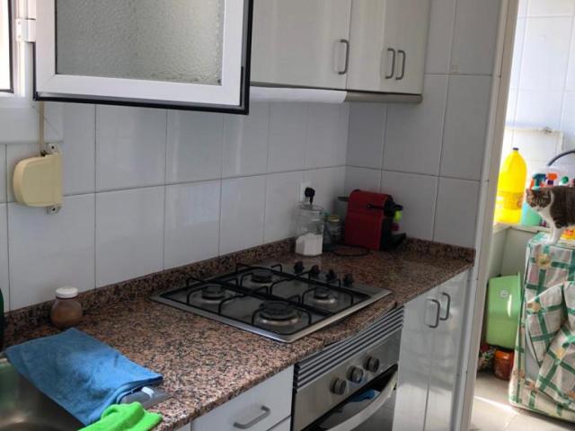 Cozy single bedroom in a 3 bedroom apartment for female tenants