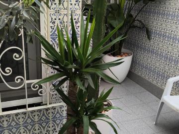 Cozy single bedroom in Badalona, close to Llefià metro station and well connected to the city center
