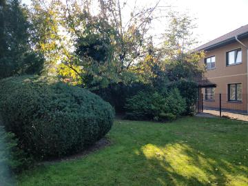 Buchholz, Berlin, Möllersfelde, Schildow, Barnim, Bundesland Brandenburg