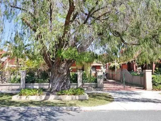 New 17 Wattle Street, South Perth, WA 6151