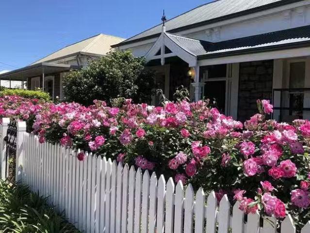 Cozy 11 Harris Street, Exeter, SA 5019