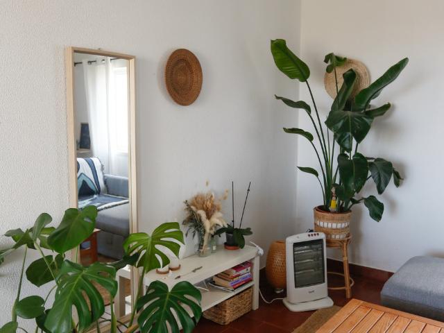 Cozy 1 Bedroom, Vale da Telha, Aljezur