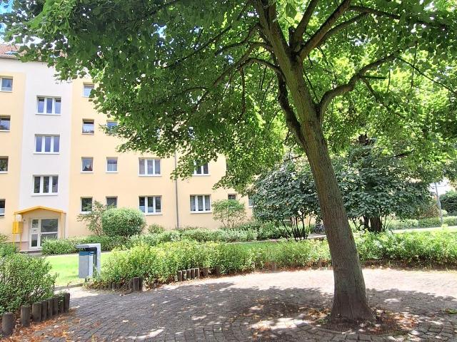 Cozy 1 Bedroom Apartment with Reception and Balcony near the Canal Baumschulenweg, Berlin Amsterdam Apartments for Rent