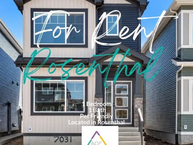 Save $1000! Cozy 1 bedroom basement suite