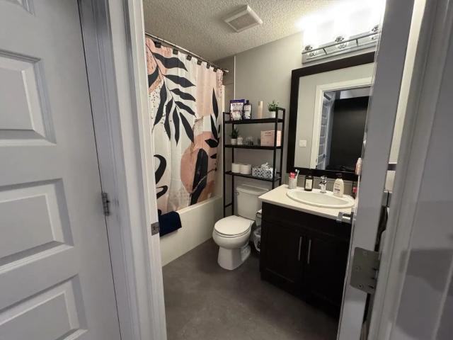 Cozy 1 bedroom basement suite in Chappelle for rent