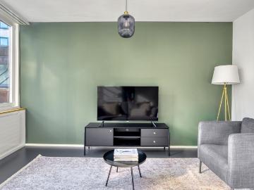 Cozy 1 Bedroom Furnished Apartment in Aussersihl, Zurich Amsterdam Apartments for Rent
