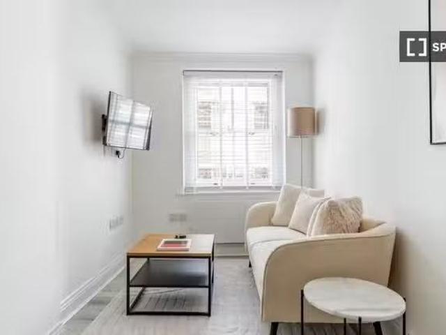 Unique 1 BR 1 bedroom apartment for rent in London