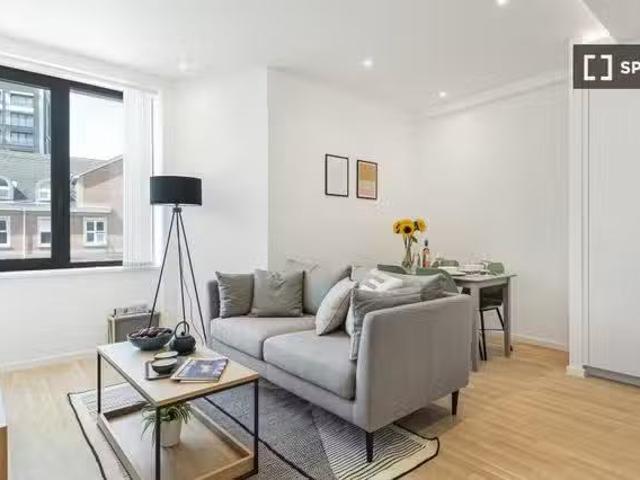 Nice 1 BR 1 bedroom apartment for rent in Reading