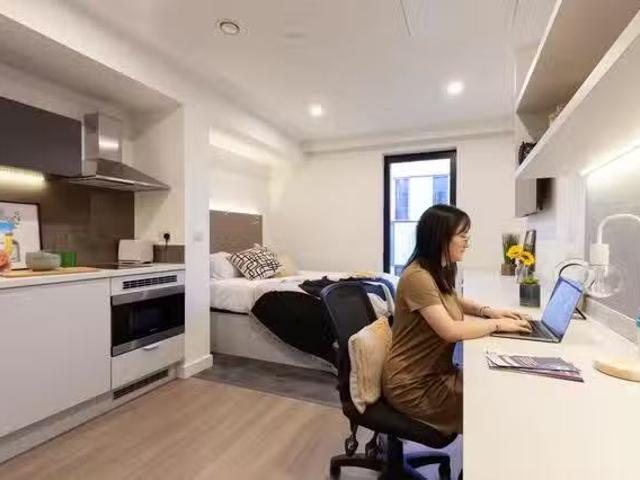 New 1 BR true Swansea true Apartment River View