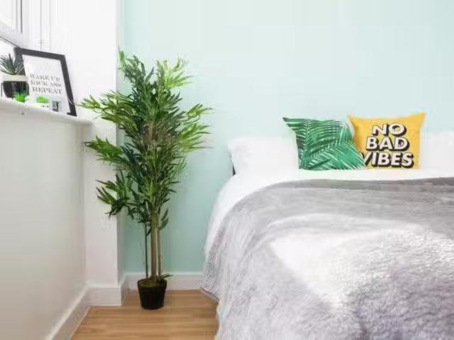 For Rent! 1 BR Ty Glyn, Bangor Gold Studio