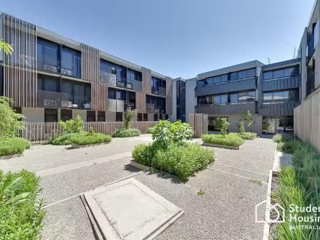 Cheap 242/386 Burwood Highway, Burwood, VIC 3125