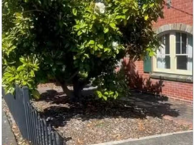 Nice 26 Seymour Street, NEW TOWN House for rent Listed by Jay.