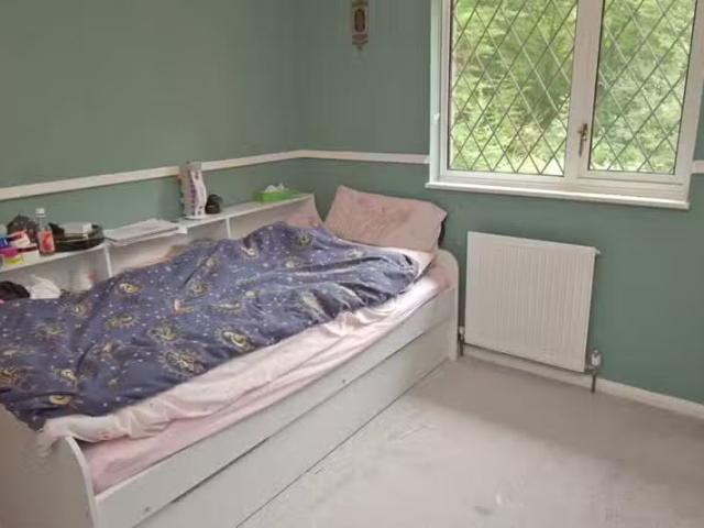 Cheap 2 BA 4 bedroom detached house for rent in Birchall Wood.