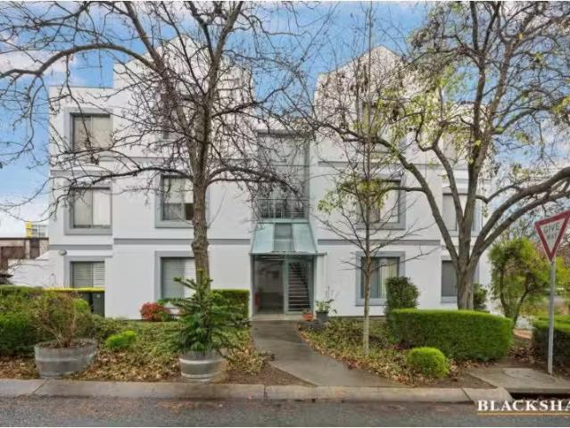 Nice 2 BR 5/57 Port Jackson Circuit, Phillip Apartment for ren.