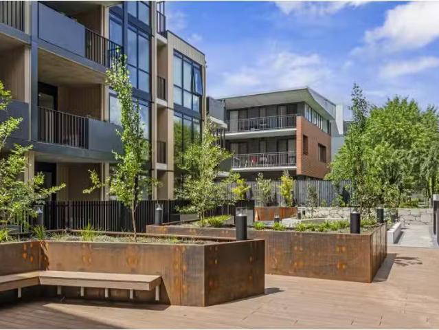 Rental! 303/39 Braybrooke Street, Bruce Apartment for rent Li.
