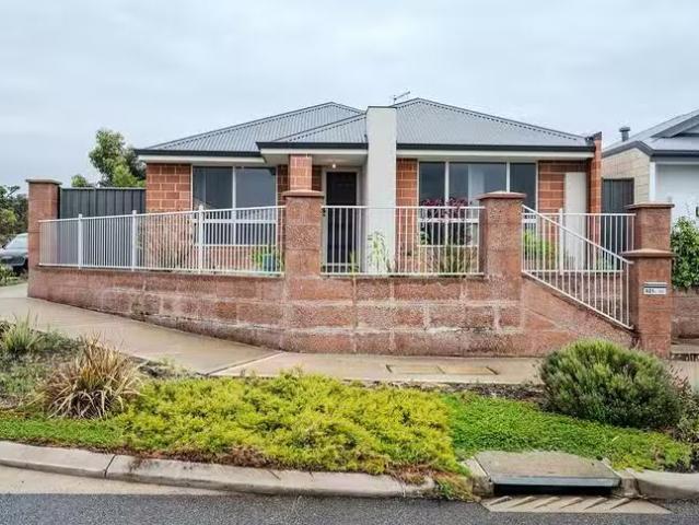 New 321 Grandis Boulevard, Banksia Grove, WA 6031