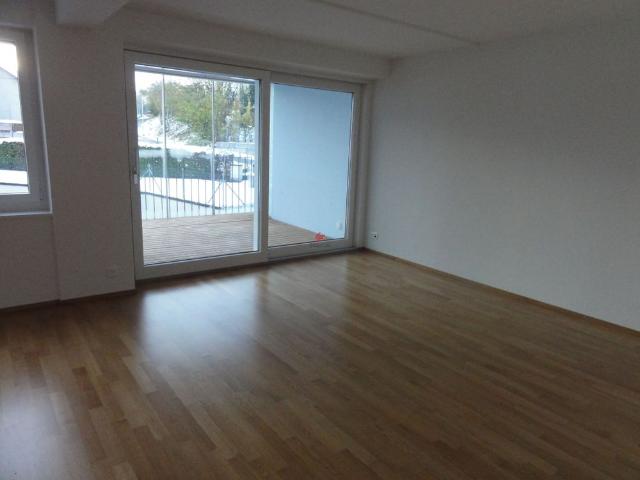 Cozy 3.5 room apartment with winter garden
