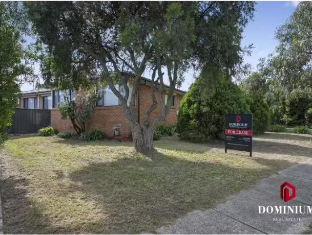 Cozy 3 BR 10 Mc Dougall Street, CHARNWOOD House for rent List.