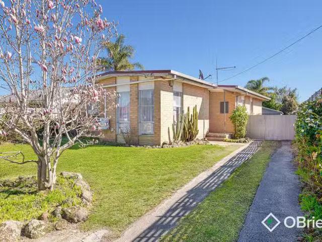 New 3 BR 11 Stricta Court, Frankston North, VIC 3200