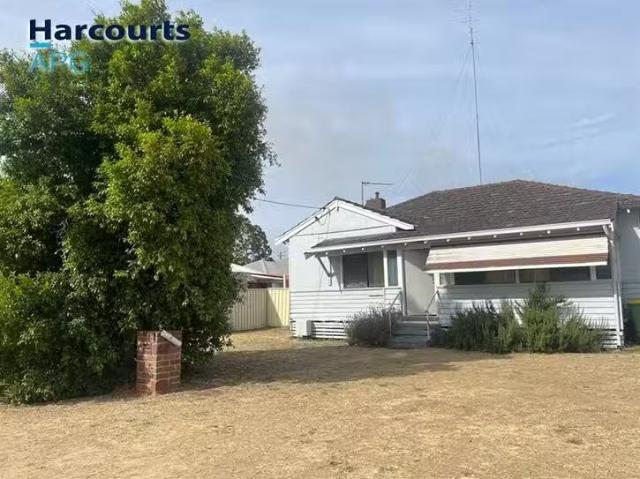 Just in! 3 BR 1 Tipping Street, Carey Park, WA 6230