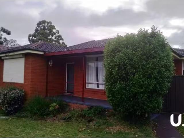 New 3 BR 40 Ringrose Avenue, Greystanes House for rent Listed.