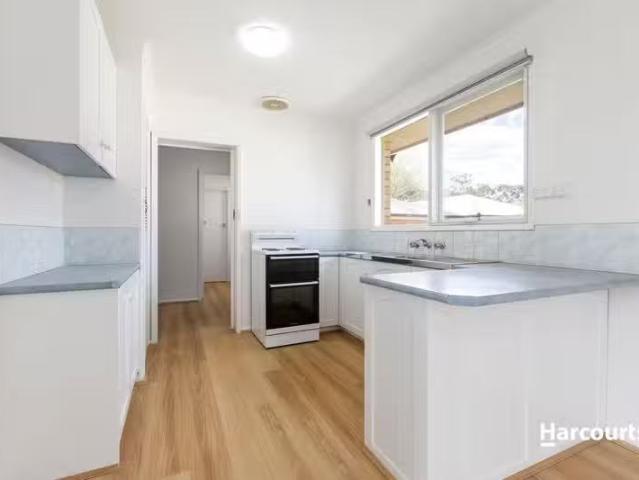 Unique 3 Marlo Street, Hamlyn Heights, VIC 3215 House for Rent