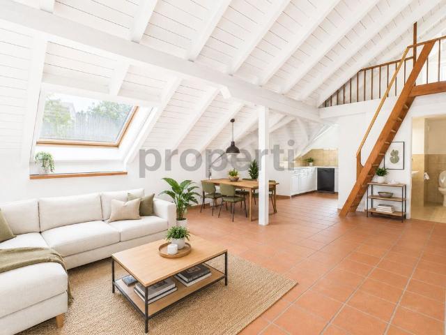 Cozy 4.5 room attic apartment with balcony in Beringen