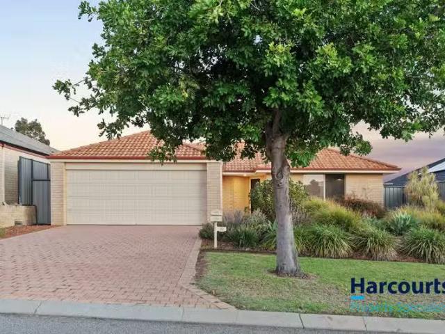 Just in! 4 BR 45 Tamworth Boulevard, BALDIVIS, WA 6171 House.