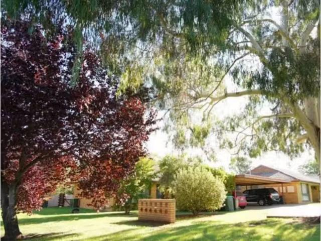 Charming 5/66 Inglis Street, Lake Albert House for rent Liste.