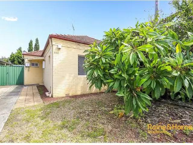 Cozy 580 Liverpool Road, STRATHFIELD SOUTH House for rent Lis.