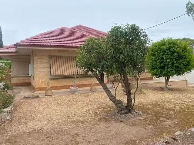 Cheap 59 Cross Road, Urrbrae, SA 5064