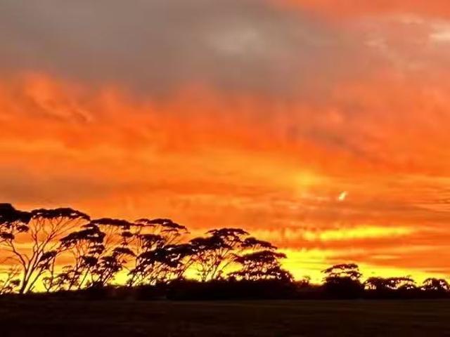 Just in! 6369 Quairading Road, Cunderdin, WA 6407
