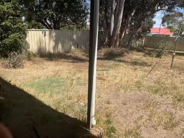 Just in! 6 Holly Street, KATANNING, WA 6317 House for Rent