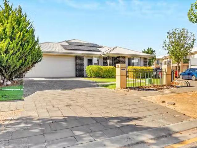 Cheap 6 Sauvignon Street, Andrews Farm, SA 5114