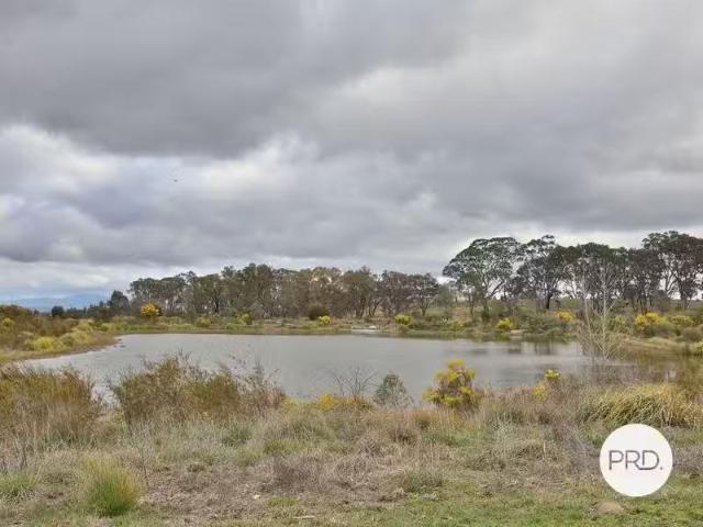 For Rent! 7 Maza Place, BONNER House for rent Listed by Tony.