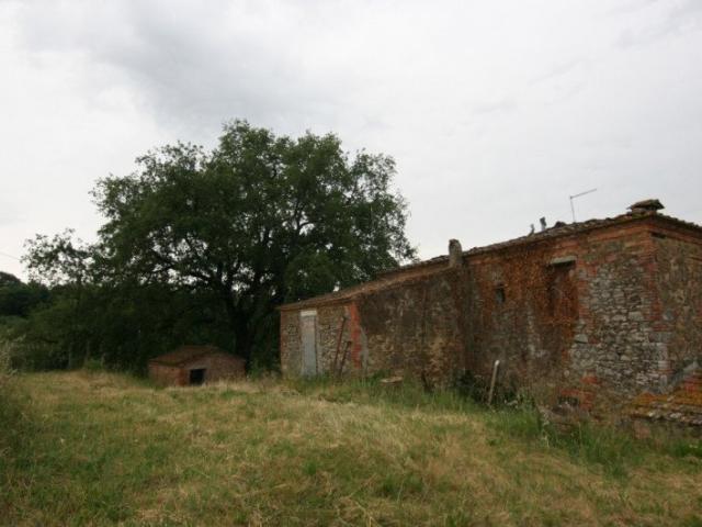 CL118 A Trequanda, ai confini con Sinalunga, proponiamo in. 0m² Trequanda