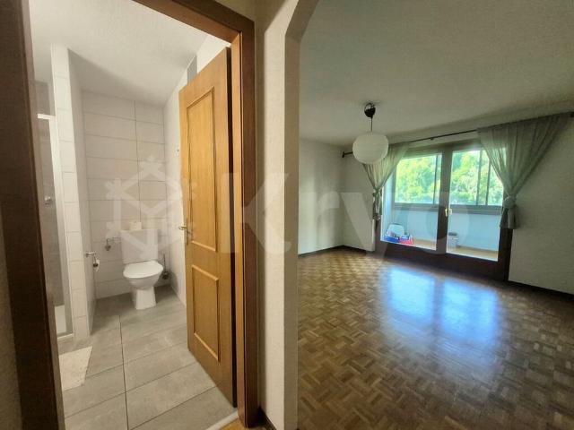 CLOSE TO THE CITY CENTER – SPACIOUS APARTMENT