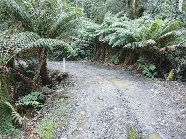 Drastically Reduced Exceptional Value on Tasmania's Stunning East Coast