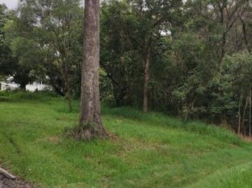 Bribie Island, Woorim, Moreton Bay Regional, Queensland
