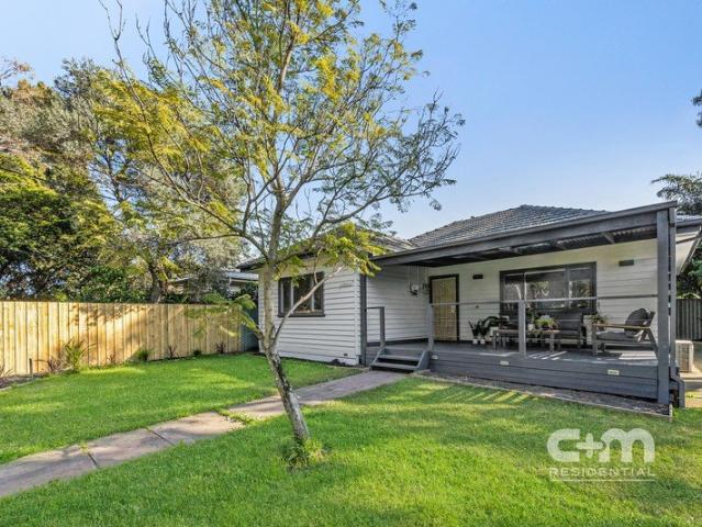 Claim Your Corner of Pascoe Vale