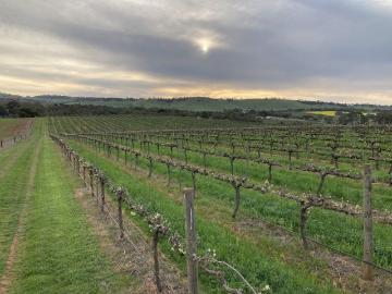 Mintaro, Goyder, South Australia, South Australia