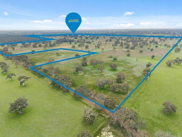 Clashmore A Rare Dual Residence Grazing Enterprise in the Heart of Cavendish with Grampians Views
