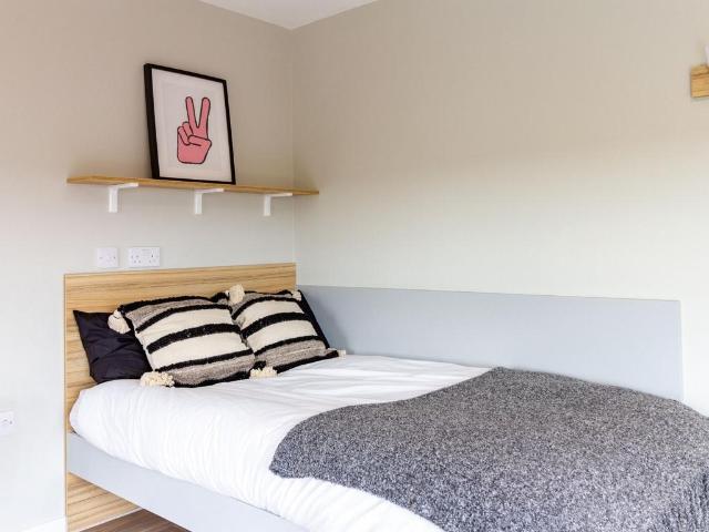 Classic Non En Suite Plus at Gulson. 1 bed private hall to rent £455 pcm £105 pw
