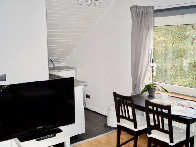 Classic Apartments Apartment 5, Kaiserslautern Amsterdam Apartments for Rent