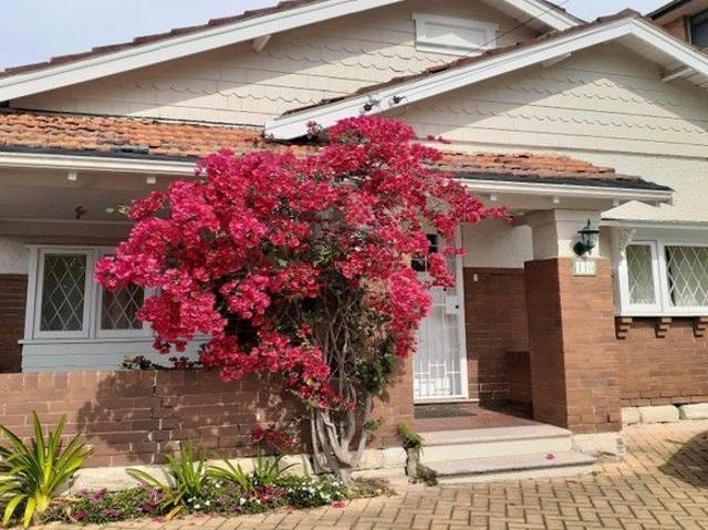 Crafsman house