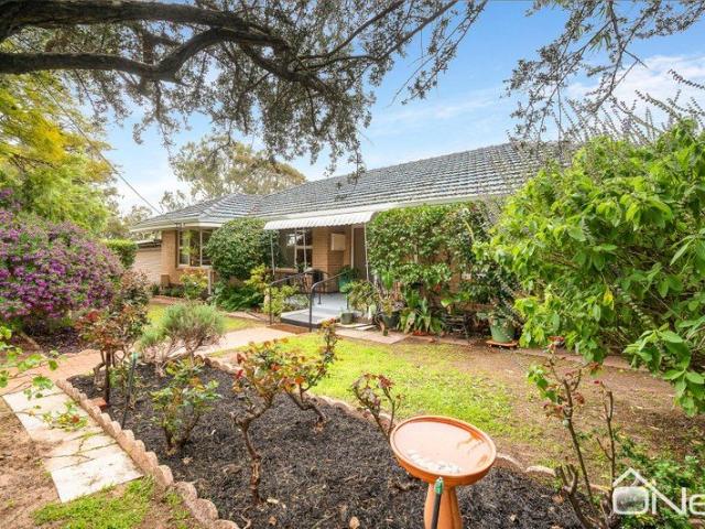 CLASSIC BEAUTY WITH SUBDIVISION POTENTIAL!