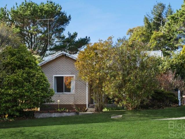 Classic Charm on a Large Allotment with Endless Potential