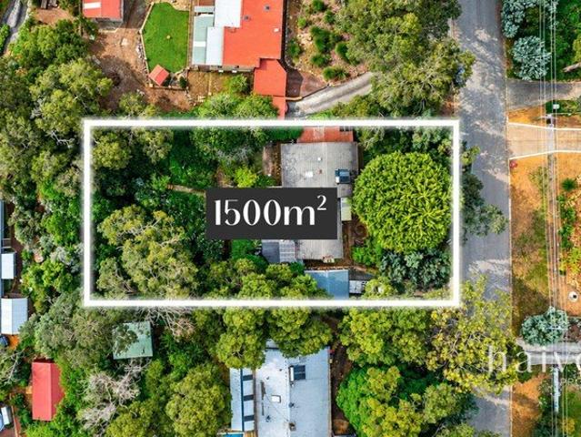 Classic Charm Endless Views Rare Opportunity
