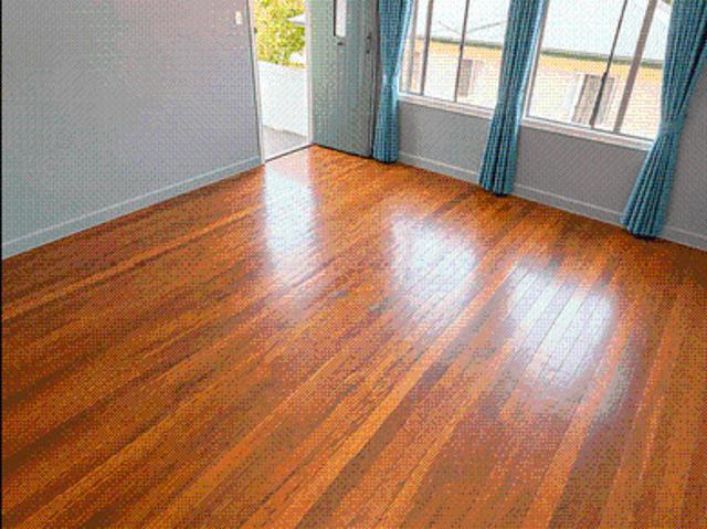 Classic Charm, Light Filled Living & a Spacious Leafy Yard