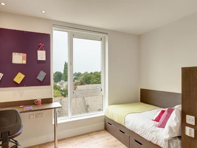 Classic En Suite at Davidson House. 1 bed private hall to rent £1,257 pcm £290 pw